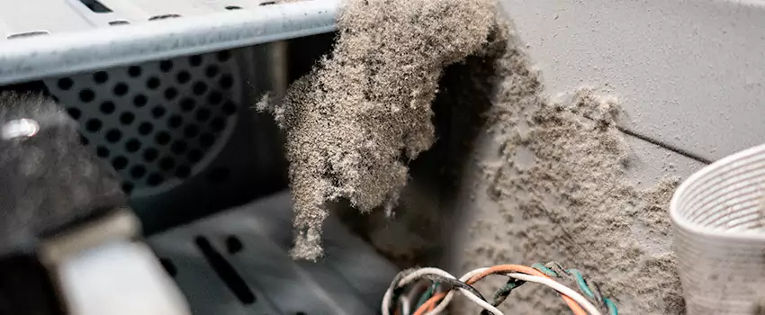 Clogged Dryer Vent Lint Cleaning in Prince George, British Columbia