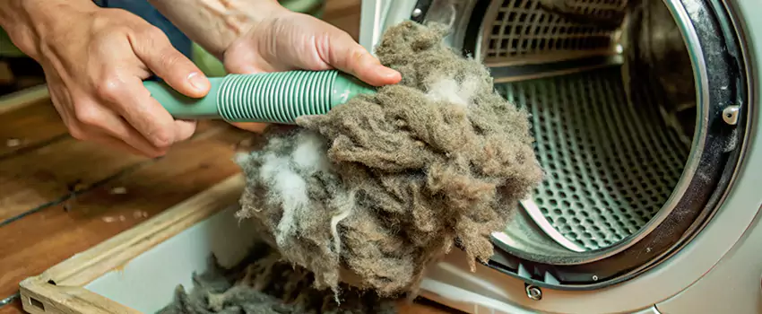 Best Dryer Lint Removal Company in Prince George, British Columbia