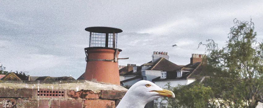 Chimney Cap Bird Guard Repair in Prince George, British Columbia