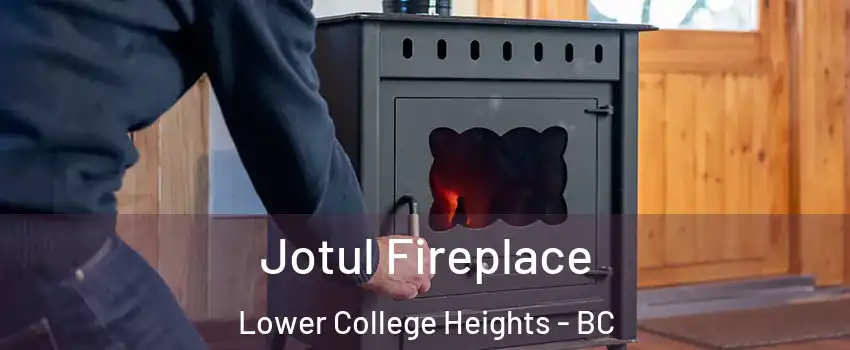  Jotul Fireplace Lower College Heights - BC