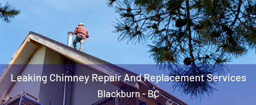  Leaking Chimney Repair And Replacement Services Blackburn - BC