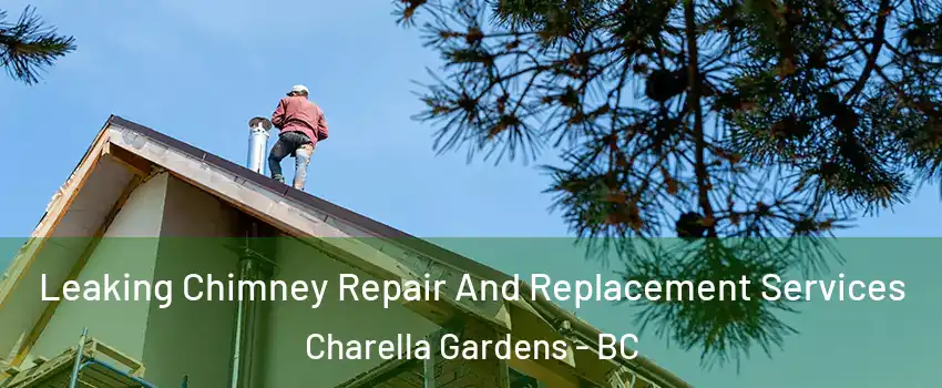  Leaking Chimney Repair And Replacement Services Charella Gardens - BC