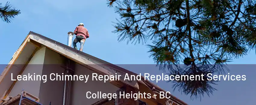  Leaking Chimney Repair And Replacement Services College Heights - BC