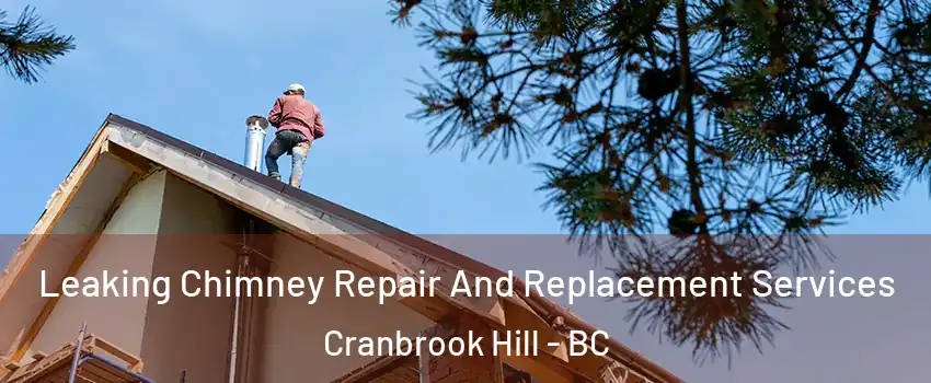  Leaking Chimney Repair And Replacement Services Cranbrook Hill - BC