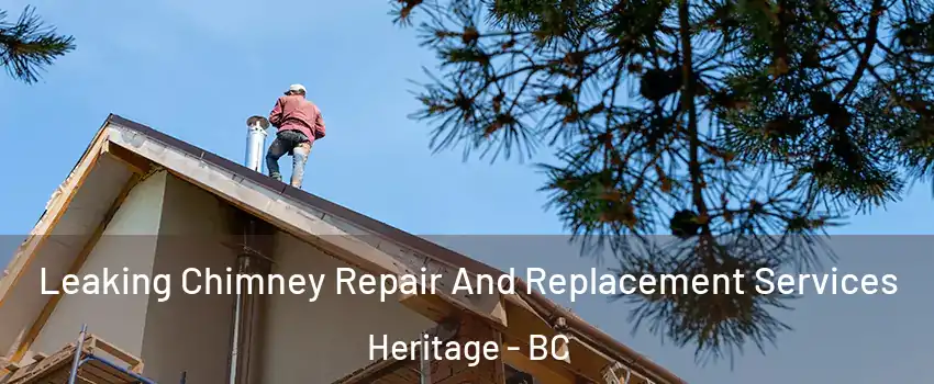  Leaking Chimney Repair And Replacement Services Heritage - BC