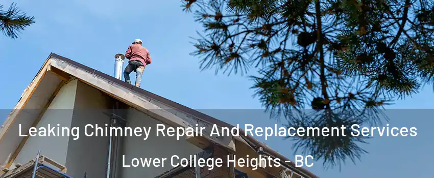  Leaking Chimney Repair And Replacement Services Lower College Heights - BC