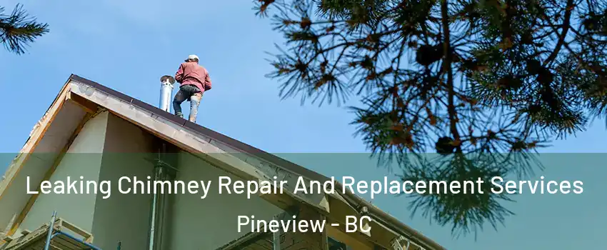  Leaking Chimney Repair And Replacement Services Pineview - BC