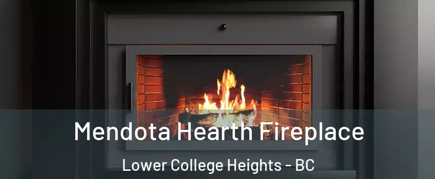  Mendota Hearth Fireplace Lower College Heights - BC