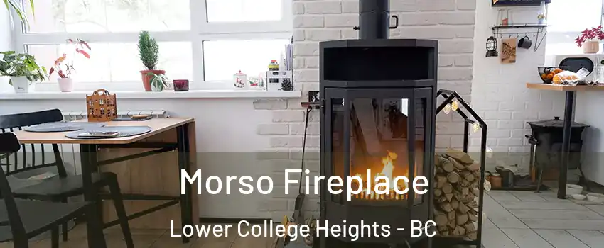  Morso Fireplace Lower College Heights - BC