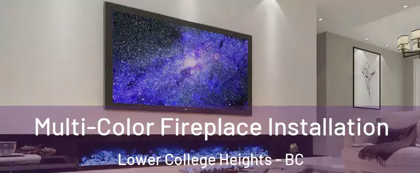  Multi-Color Fireplace Installation Lower College Heights - BC