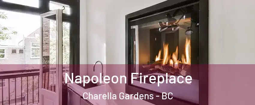  Napoleon Fireplace Charella Gardens - BC