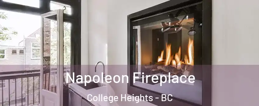  Napoleon Fireplace College Heights - BC