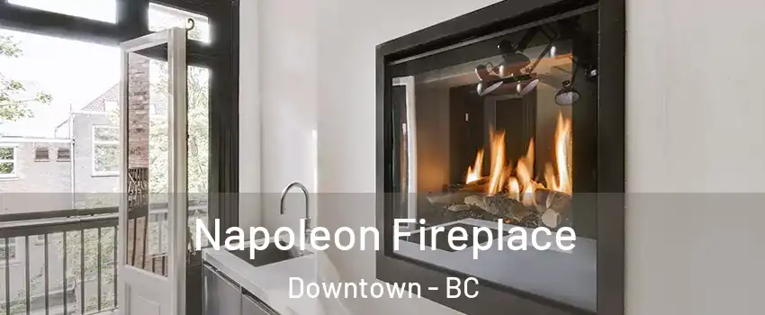  Napoleon Fireplace Downtown - BC