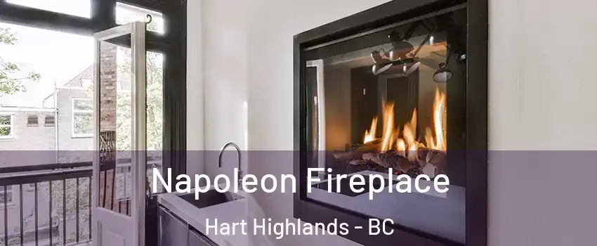  Napoleon Fireplace Hart Highlands - BC