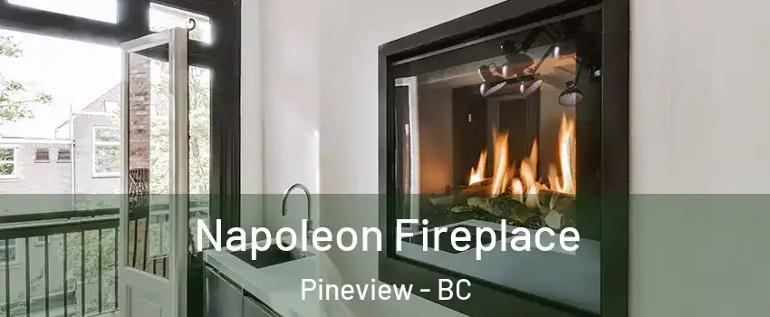  Napoleon Fireplace Pineview - BC