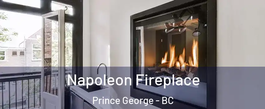  Napoleon Fireplace Prince George - BC