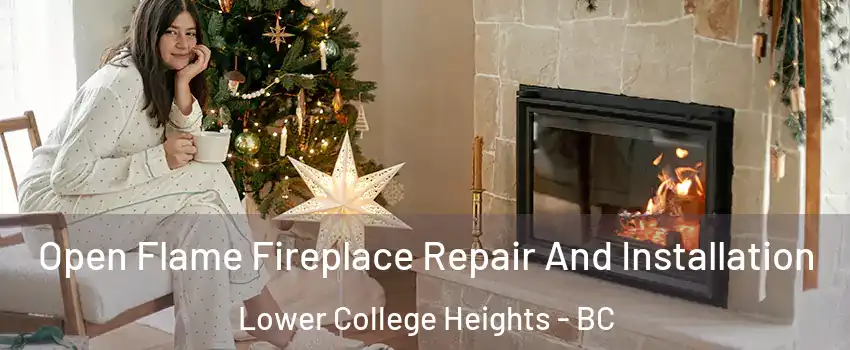  Open Flame Fireplace Repair And Installation Lower College Heights - BC