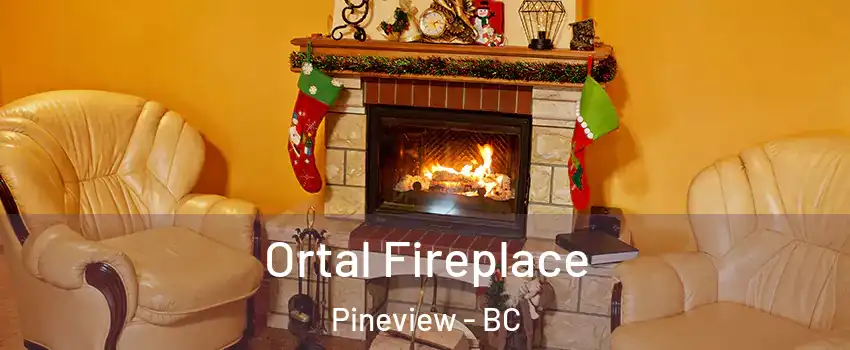  Ortal Fireplace Pineview - BC