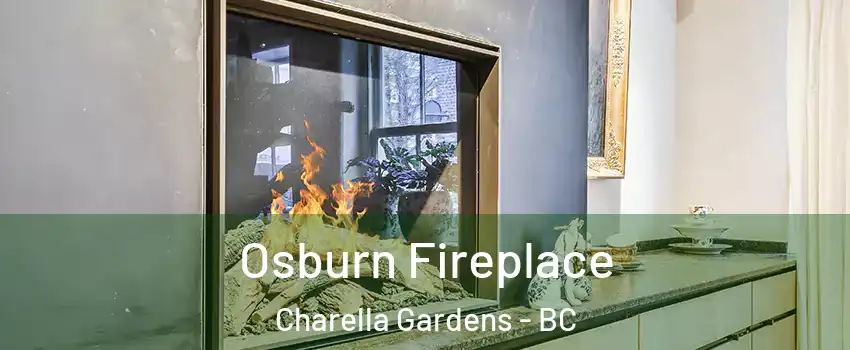  Osburn Fireplace Charella Gardens - BC