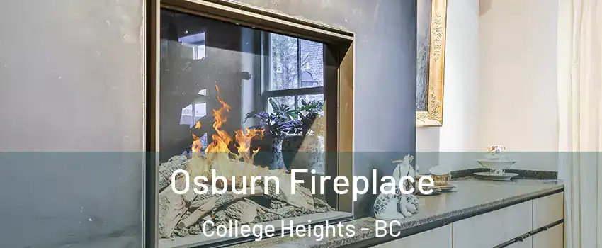  Osburn Fireplace College Heights - BC