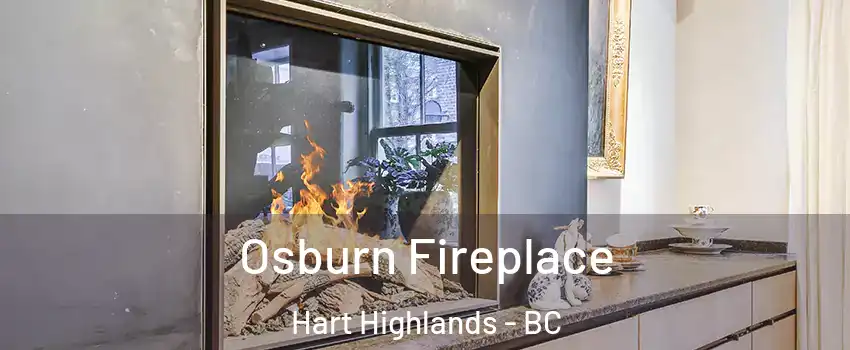  Osburn Fireplace Hart Highlands - BC