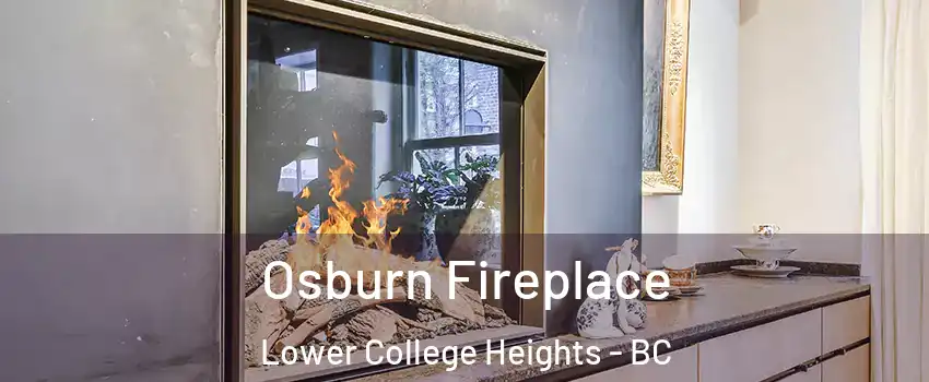  Osburn Fireplace Lower College Heights - BC