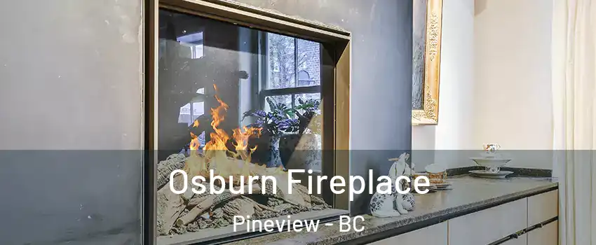  Osburn Fireplace Pineview - BC