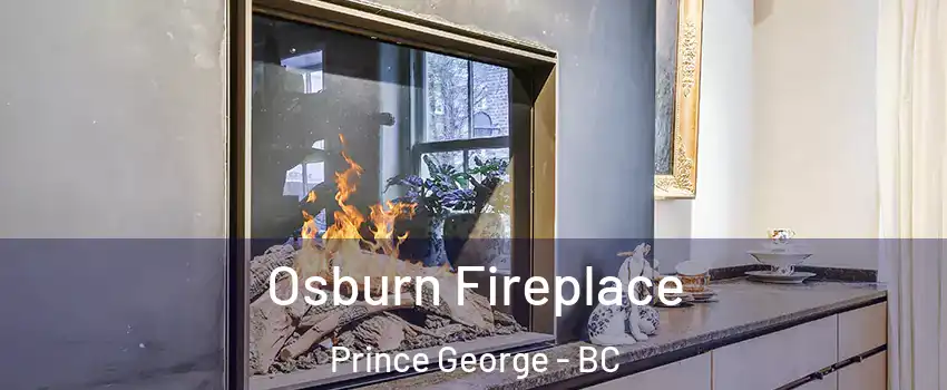  Osburn Fireplace Prince George - BC