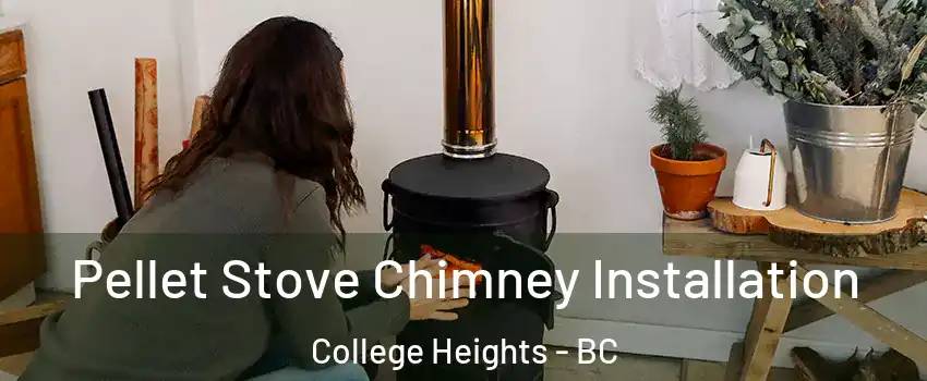  Pellet Stove Chimney Installation College Heights - BC