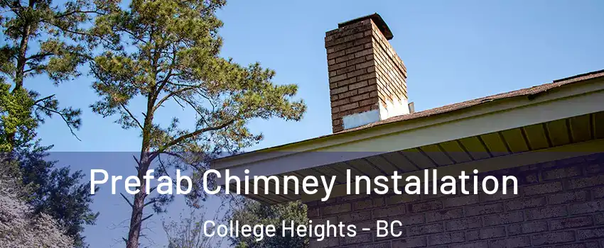  Prefab Chimney Installation College Heights - BC