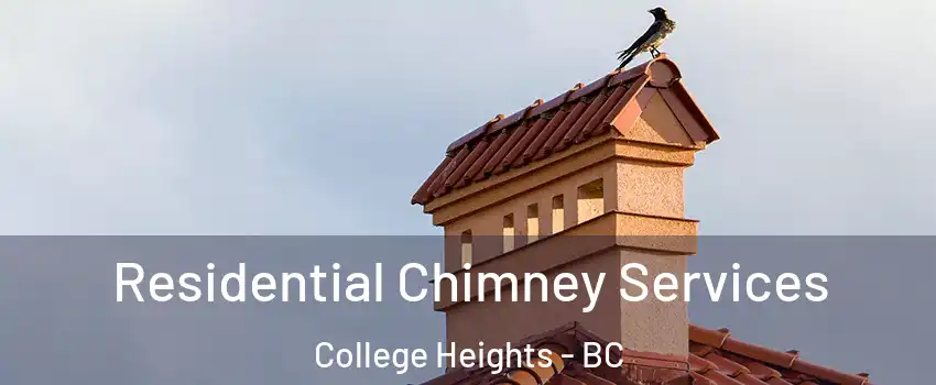  Residential Chimney Services College Heights - BC