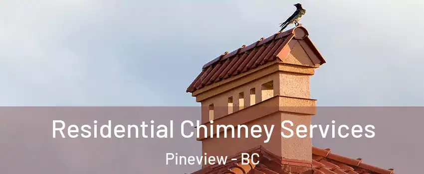  Residential Chimney Services Pineview - BC