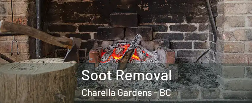  Soot Removal Charella Gardens - BC