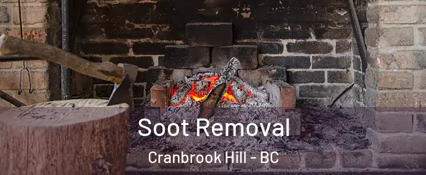  Soot Removal Cranbrook Hill - BC