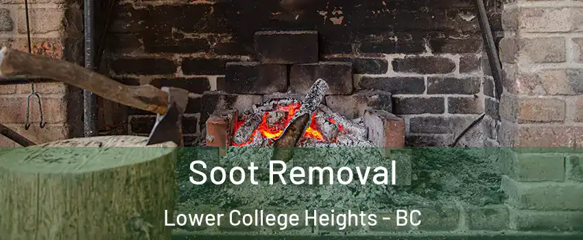  Soot Removal Lower College Heights - BC