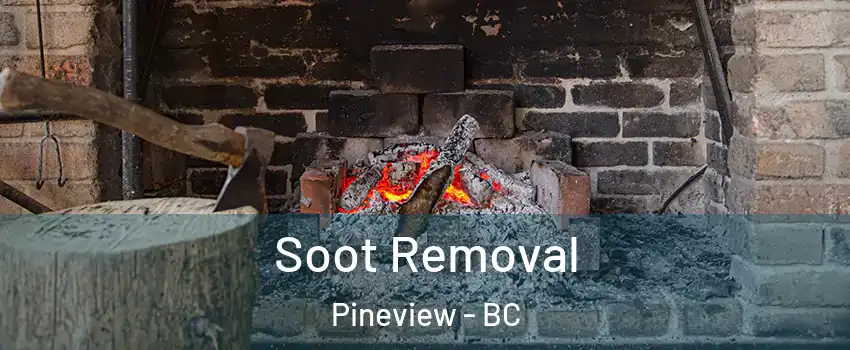  Soot Removal Pineview - BC