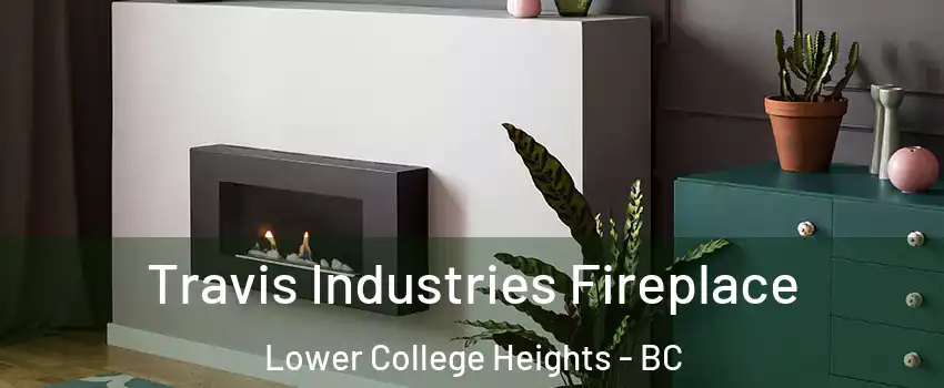  Travis Industries Fireplace Lower College Heights - BC