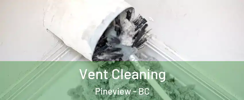  Vent Cleaning Pineview - BC