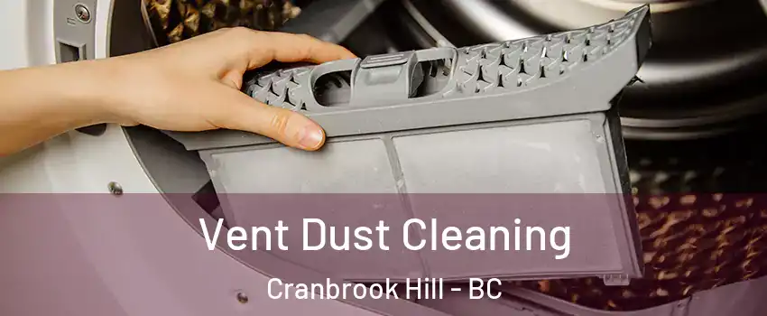  Vent Dust Cleaning Cranbrook Hill - BC