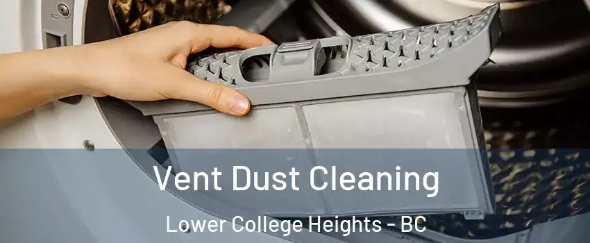  Vent Dust Cleaning Lower College Heights - BC