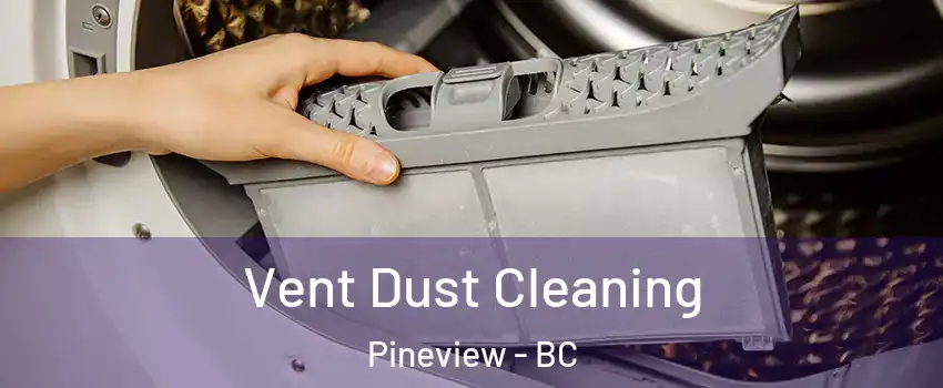  Vent Dust Cleaning Pineview - BC