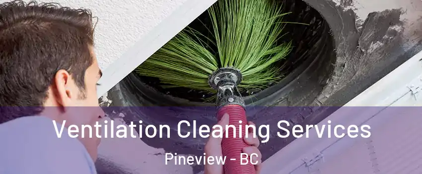  Ventilation Cleaning Services Pineview - BC