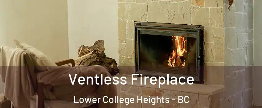  Ventless Fireplace Lower College Heights - BC