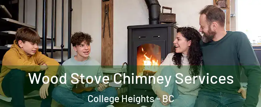  Wood Stove Chimney Services College Heights - BC