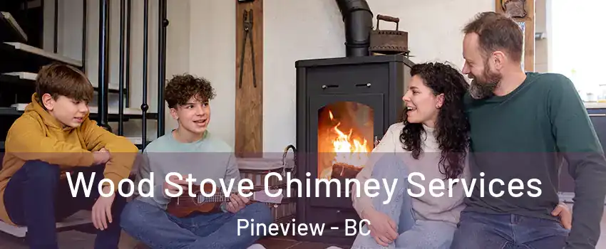  Wood Stove Chimney Services Pineview - BC