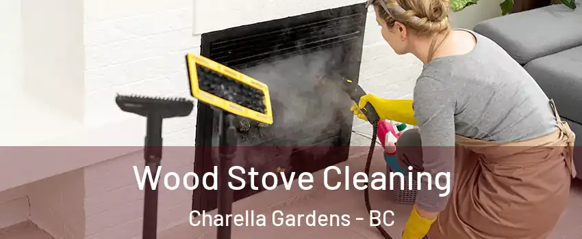  Wood Stove Cleaning Charella Gardens - BC