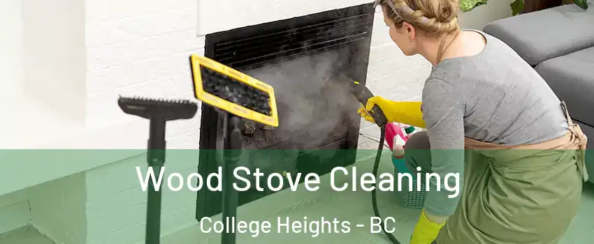  Wood Stove Cleaning College Heights - BC