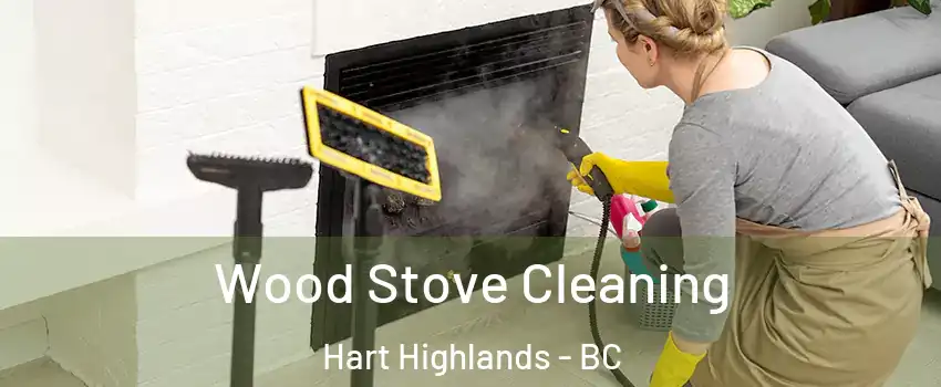  Wood Stove Cleaning Hart Highlands - BC