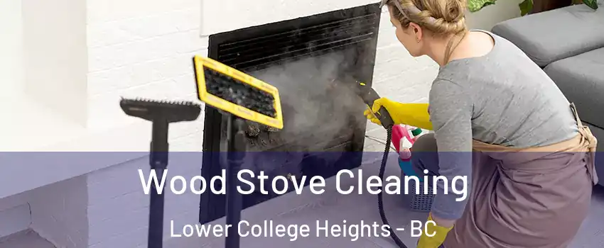  Wood Stove Cleaning Lower College Heights - BC