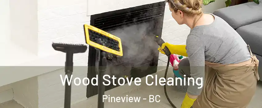  Wood Stove Cleaning Pineview - BC